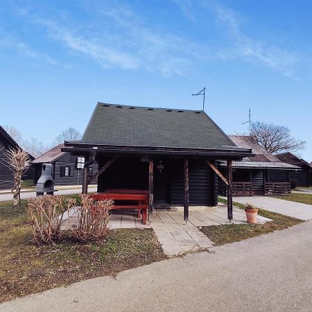 Hiska Catez Villa Brezice Exterior photo